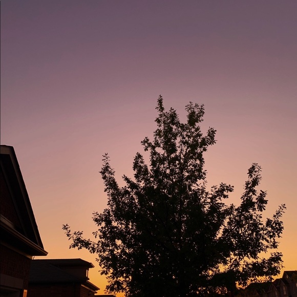 Meet your Posher! - Picture 1 of 1